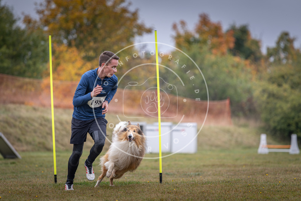 Pfotenfotografie_DV3A1145 | Hundefotografie, Tierfotograf, Pfotenfotografie, Fotoshooting Hund, Hunde Portrait, Hundesport, Hundeportraits, Heideshooting, Hunde, Sportfotograf, Hundefotograf, Turnierhundsport, THS,  - Realisiert mit Pictrs.com