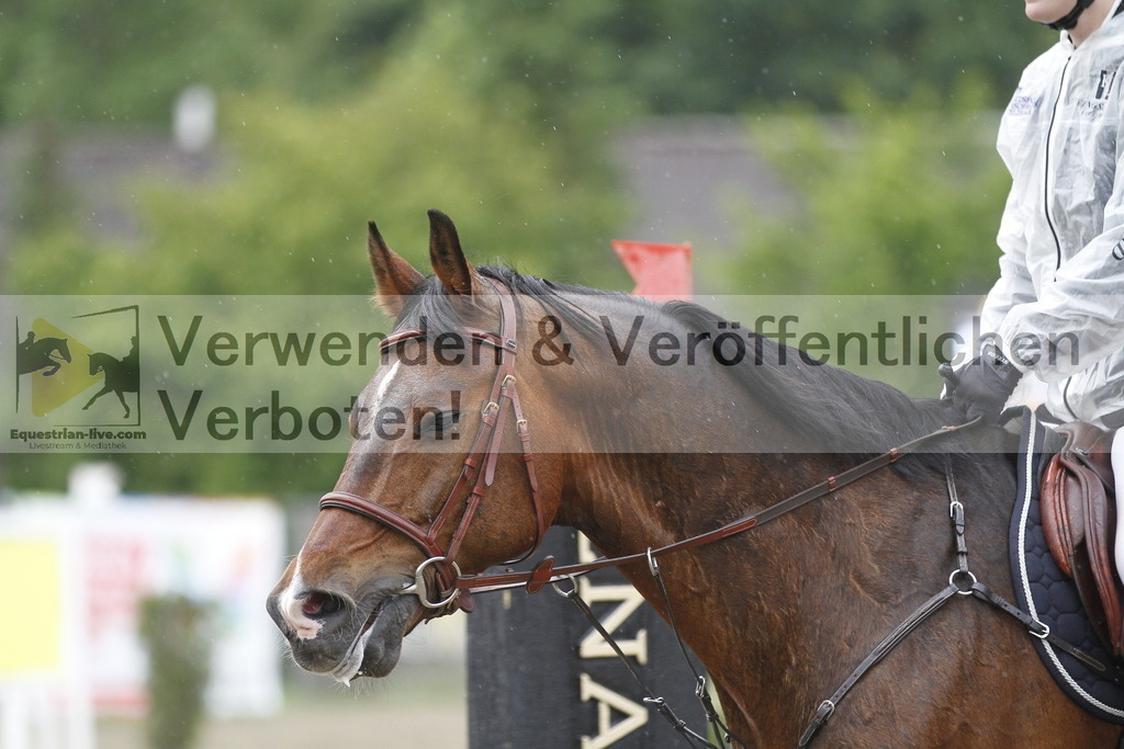 _MG_6710 | equestrian-live-com