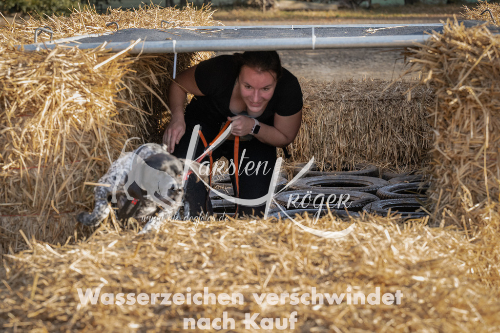 0958_ZZ95806 | kk-dogfotos