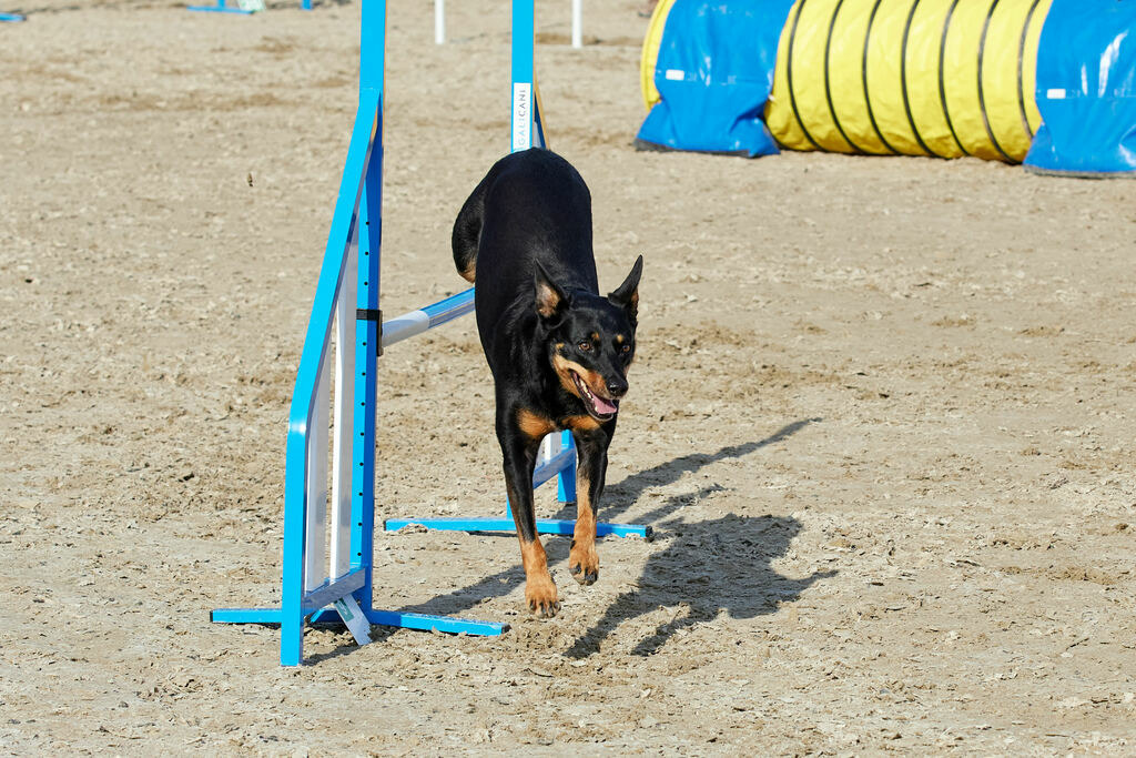 580B0038 | Peter Fridle Fotografie - Realisiert mit Pictrs.com