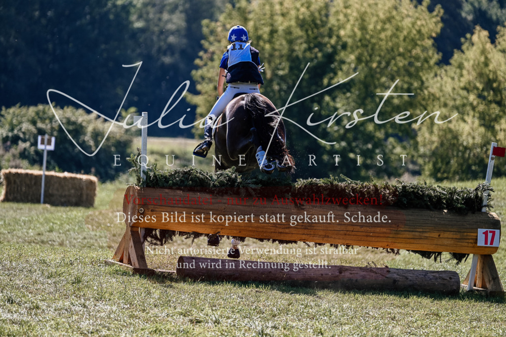 DSC_1714 | Pferde- und Turnierfotografie in Westsachsen. Pferdeportraits, Auftragszeichnungen und intuitive Kunst.