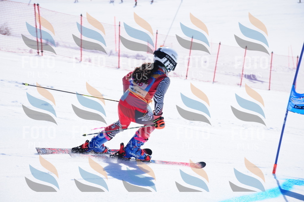 DSC_3770 | holidayphoto