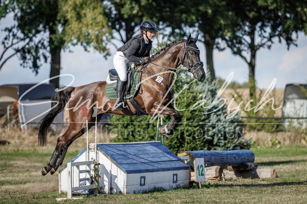 20260905-_3LI0627 | Tierfotografie Pferde, Hunde, Katzen, Haustiere.
Turnierfotografie Reitturniere, Reiten, Springreiten, Dressur in Hanau, dem Main-Kinzig-Kreis und dem Rhein-Main- Gebiet um Frankfurt