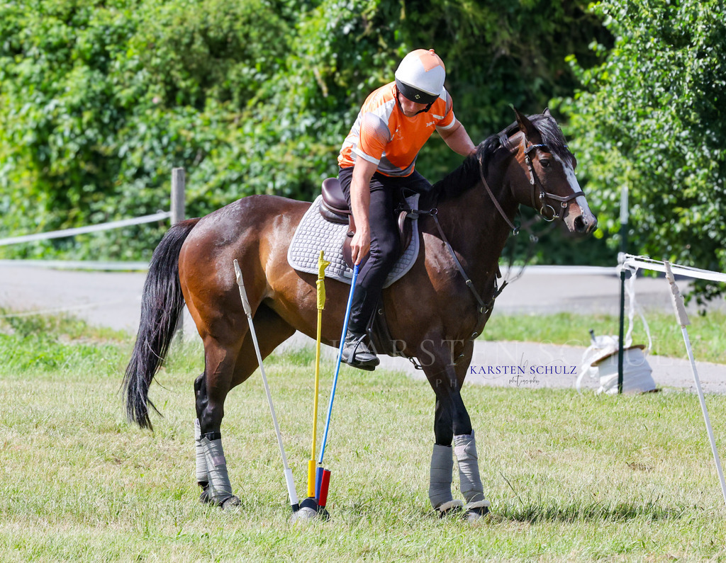 1B3A4820 | Reitsport Reiten