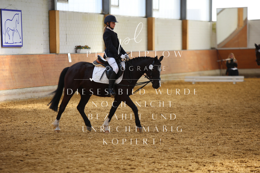 IMGT3618 | pl-fotografie