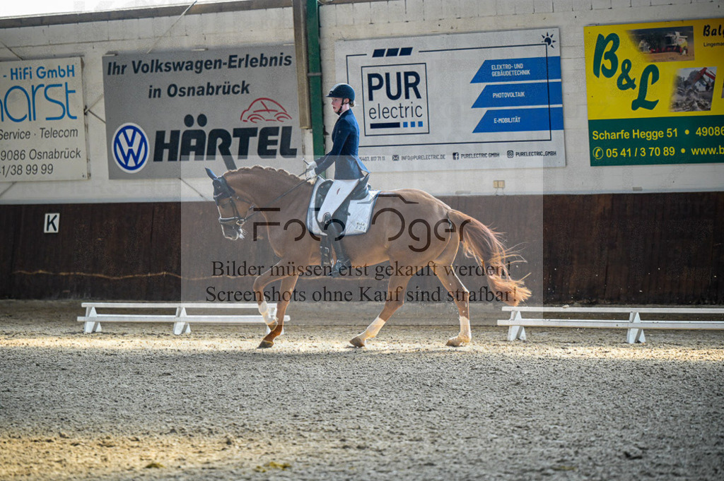 Reitturnier Voxtrup | Entdecke hochwertige Reitturnierfotos von Foto Oger. Professionell, emotional und authentisch – jetzt Lieblingsmomente im Shop bestellen.Deutschlandweite Turnierfotografie. - Realisiert mit Pictrs.com