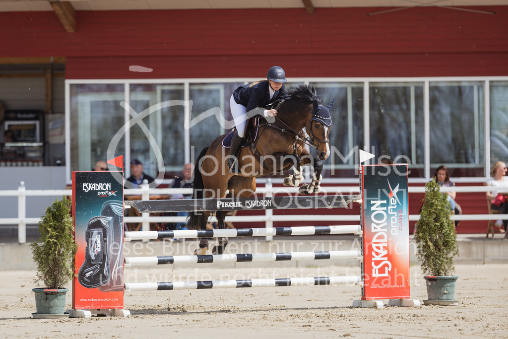 230501_SpengeW_M2St-156 | Deine schönsten Turniermomente als professionelle Fotos! Entdecke hochwertige Pferdesport-Fotografie im Online-Shop. Jetzt Fotos finden & bestellen!