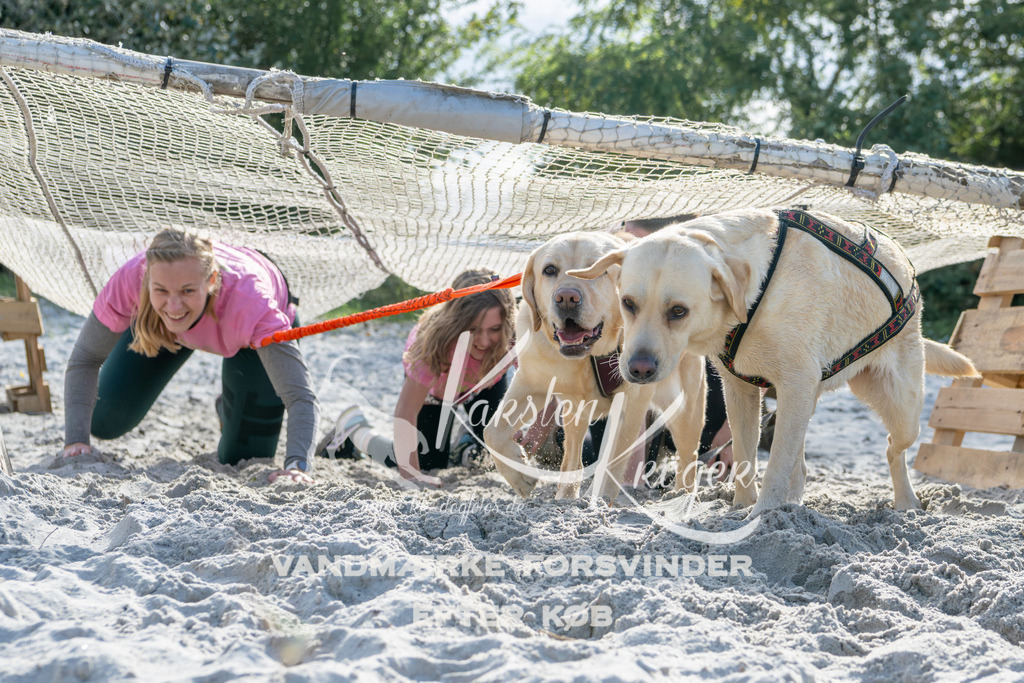 1257_ZZ94464 | kk-dogfotos