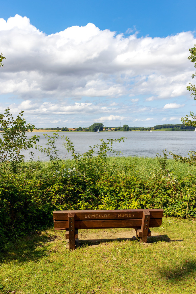 Wandbild: Bank an der Schlei in Sieseby  | Dieses Wandbild im Hochformat zeigt eine schöne Bank direkt an der Schlei zwischen Sieseby und Bienebek. Von dort aus hat man einen schönen Ausblick auf die Schlei. In der Ferne auf der Schlei kann man einige Segelboote erahnen. Am blauen Himmel befinden sich viele sommerliche Wolken.  - Realisiert mit Pictrs.com