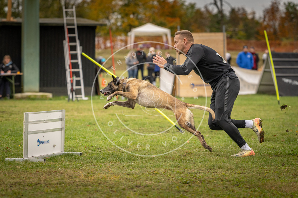 Pfotenfotografie_DV3A6958 | Hundefotografie, Tierfotograf, Pfotenfotografie, Fotoshooting Hund, Hunde Portrait, Hundesport, Hundeportraits, Heideshooting, Hunde, Sportfotograf, Hundefotograf, Turnierhundsport, THS,  - Realisiert mit Pictrs.com