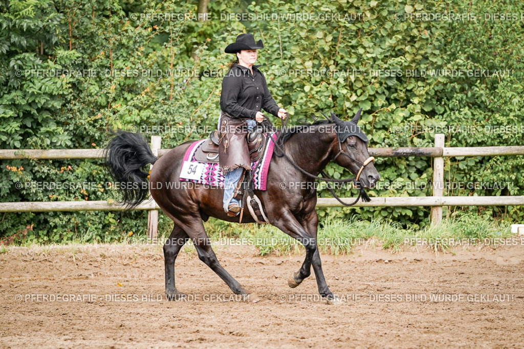 DSC09145 | Pferdegrafie