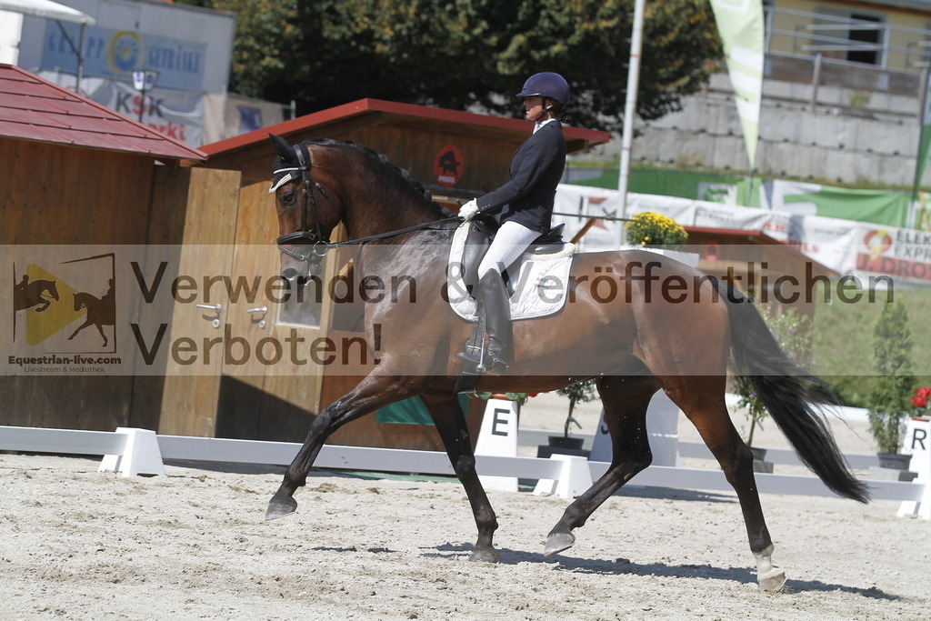 _MG_0037 | equestrian-live-com