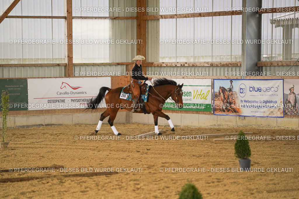 DSC04449 | Pferdegrafie