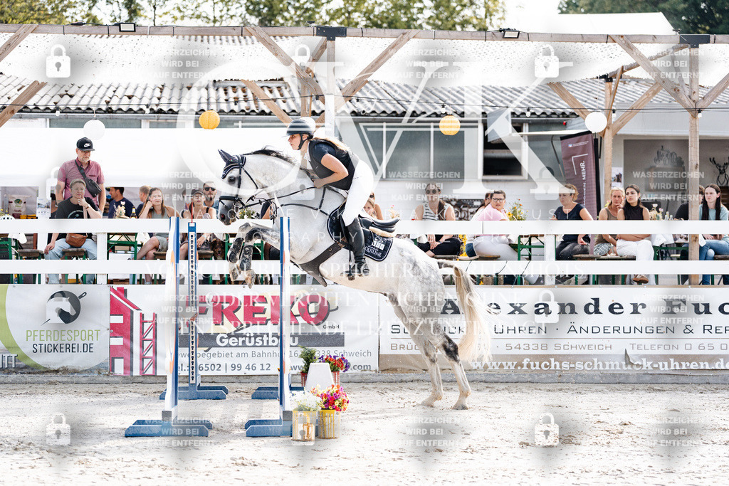 CK905421 | Turnierfotografie Pferdefotografie Trier Rheinland-Pfalz Pferdesport Reitsport Tierfotografie Sportfotografie Pferdevideo Pferdevideografie Equestrianvideography equestrianphotography  - Realisiert mit Pictrs.com
