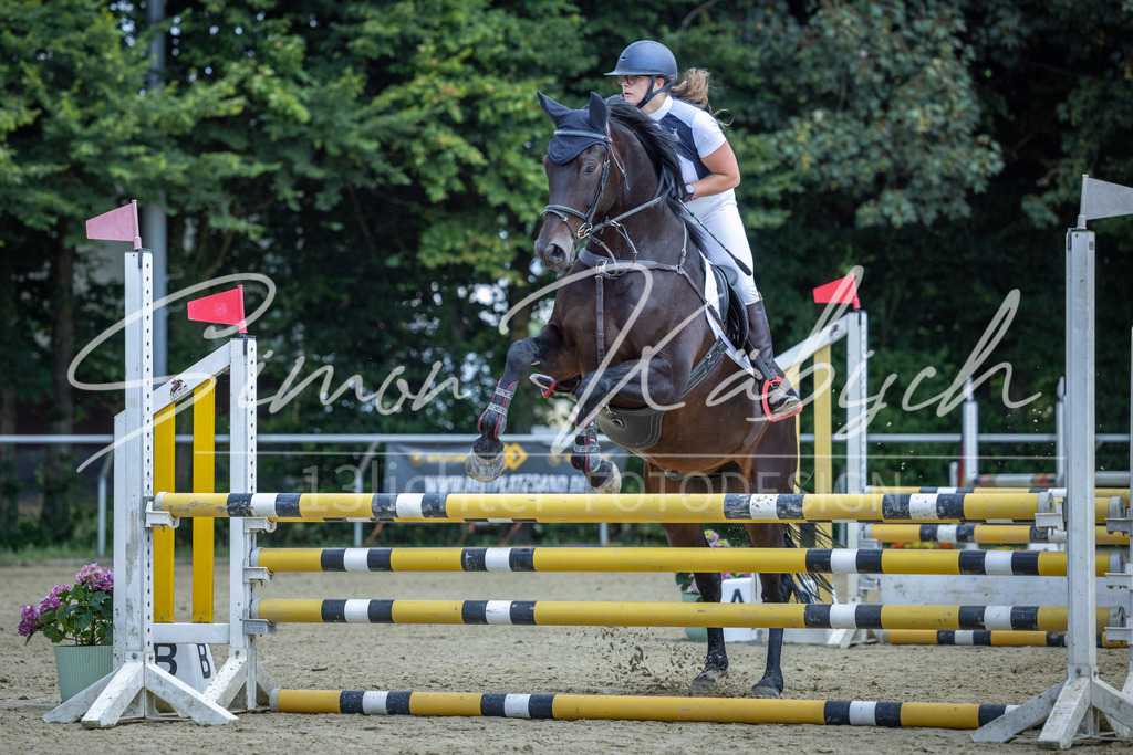 20260704-_3LI9354 | Tierfotografie Pferde, Hunde, Katzen, Haustiere.
Turnierfotografie Reitturniere, Reiten, Springreiten, Dressur in Hanau, dem Main-Kinzig-Kreis und dem Rhein-Main- Gebiet um Frankfurt