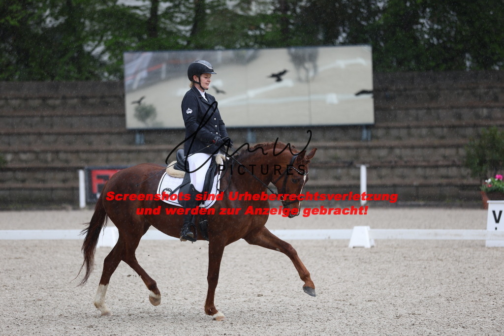 A40A7580 | lmwpictures - Realisiert mit Pictrs.com