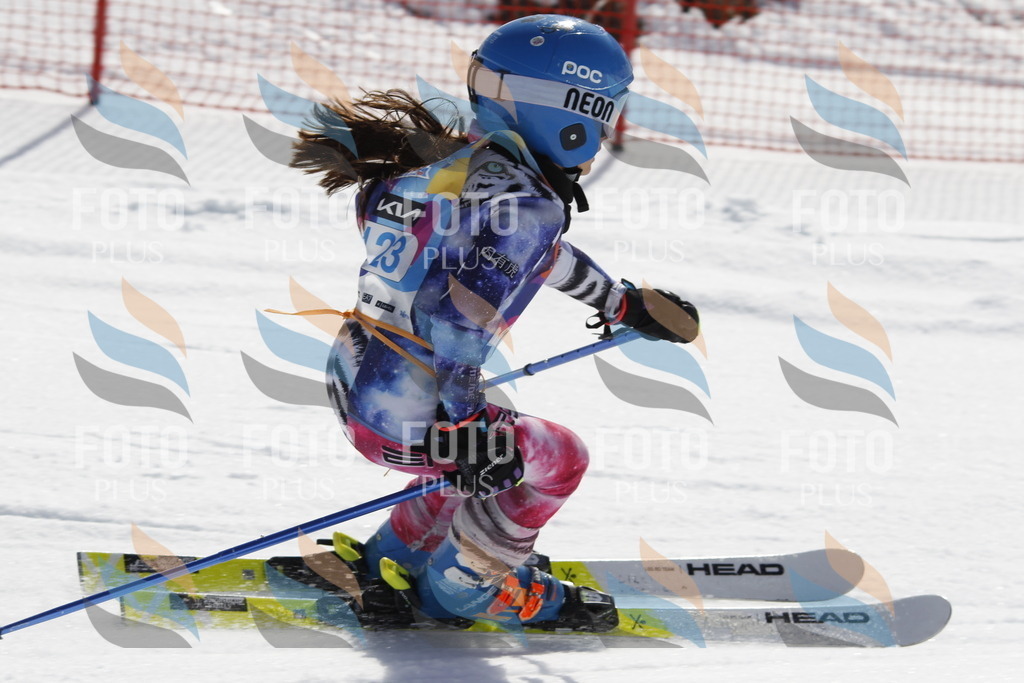 _U3G0762 | holidayphoto