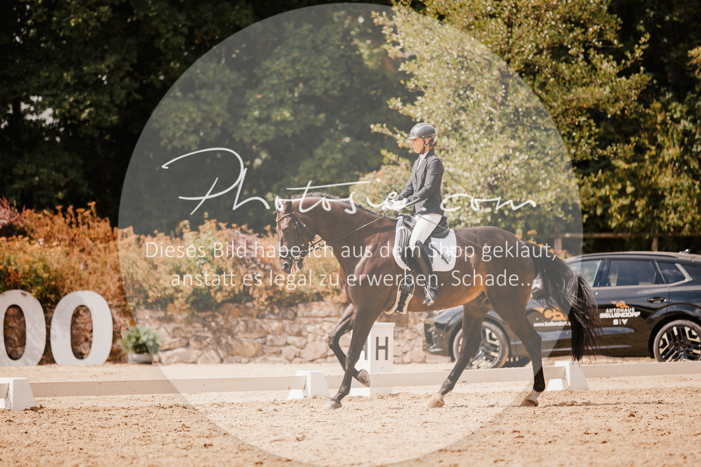 3I6A6123 | Stimmungsvolle Portraits und Reitsportfotografie im Ruhrgebiet und im Münsterland.

Pferdefotografie, Hundefotografie, Tierfotografie, Reportagen, Portraits von Tier und Mensch, Turnierfotografie in Bochum, Recklinghausen, Marl, Haltern am See, Dülmen.. - Realisiert mit Pictrs.com