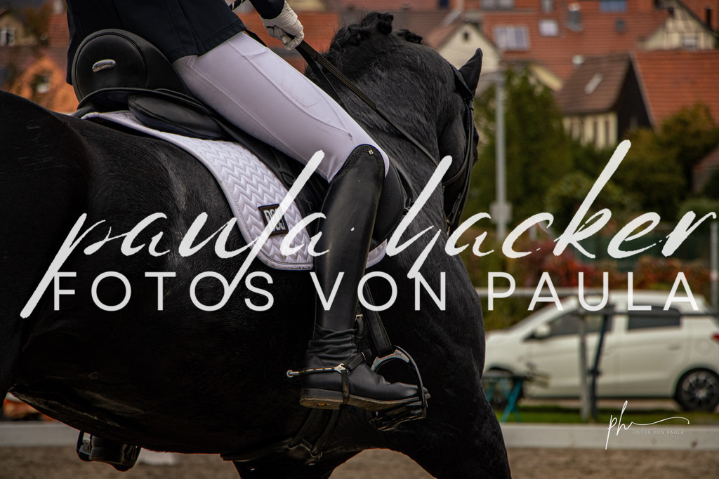 IMG_1090 | Erleben Sie dynamische Sport- und emotionale Tierfotografie in Süddeutschland mit Fotos von Paula. Spezialisiert auf Pferde- und Hundefotografie sowie Sportevents. Kontaktieren Sie mich für einzigartige und ausdrucksstarke Bilder Ihrer besonderen Momente. - Realisiert mit Pictrs.com