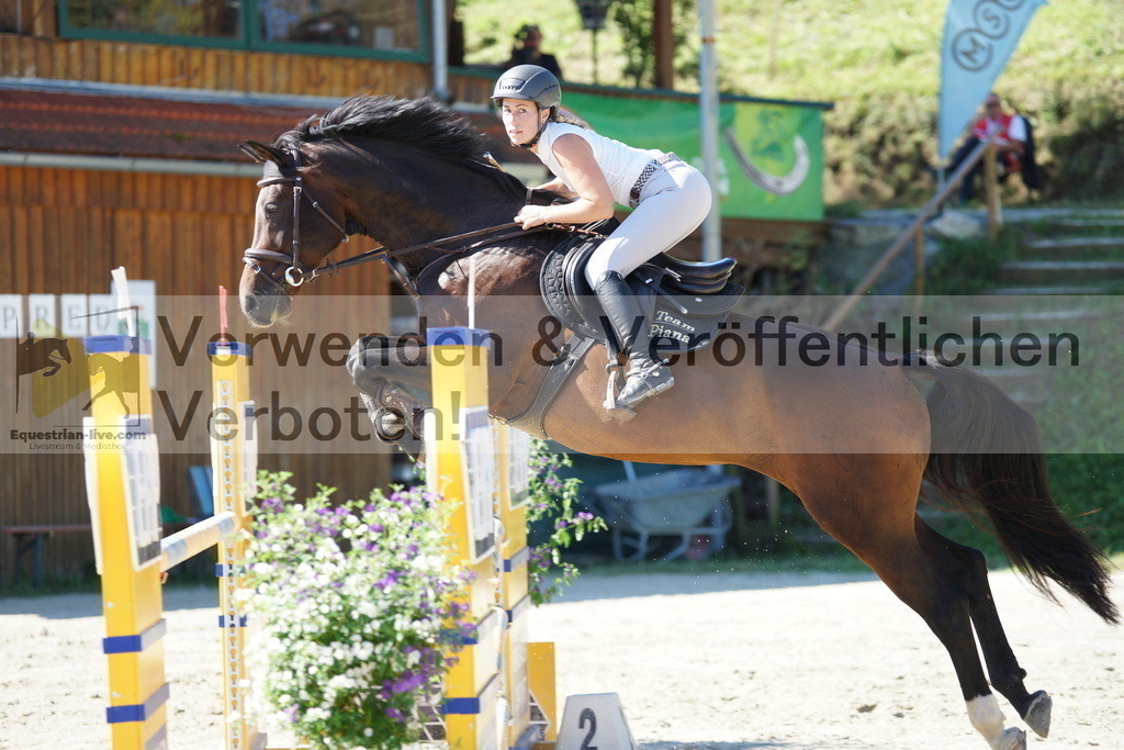 DSC02394 | equestrian-live-com