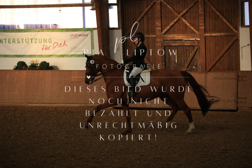 IMGT0189 | pl-fotografie