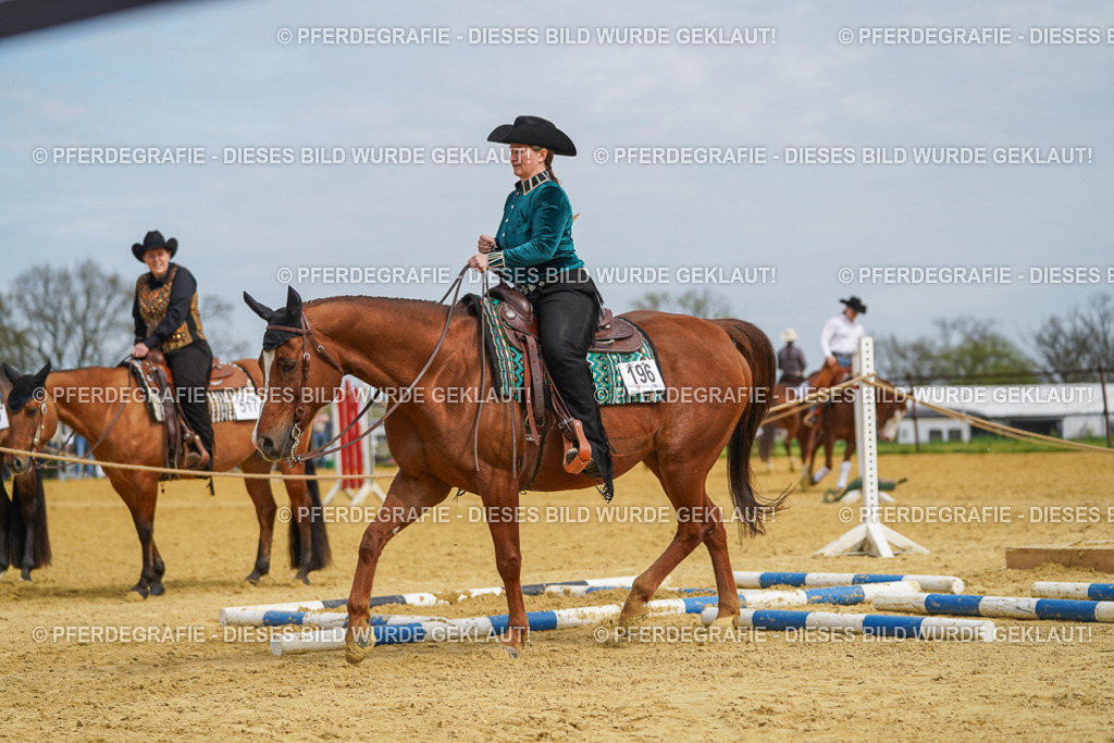 DSC03690 | Pferdegrafie