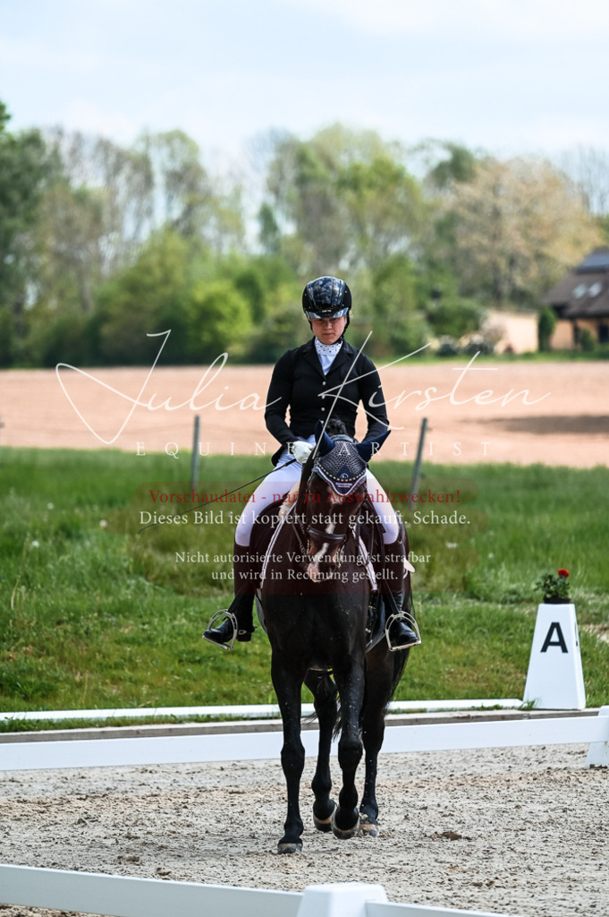 20230513_JK-Röhrsdorf-10-0785 | Pferde- und Turnierfotografie in Westsachsen. Pferdeportraits, Auftragszeichnungen und intuitive Kunst.