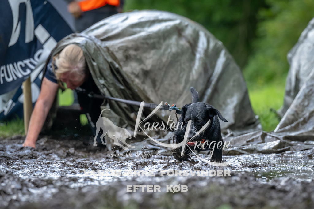 1138_ZZ93776 | kk-dogfotos