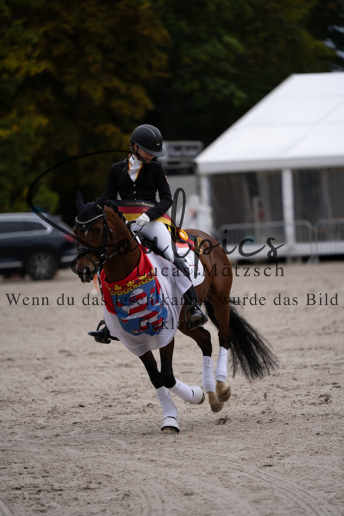 A7V01246 | Turnier/Reitfotograf