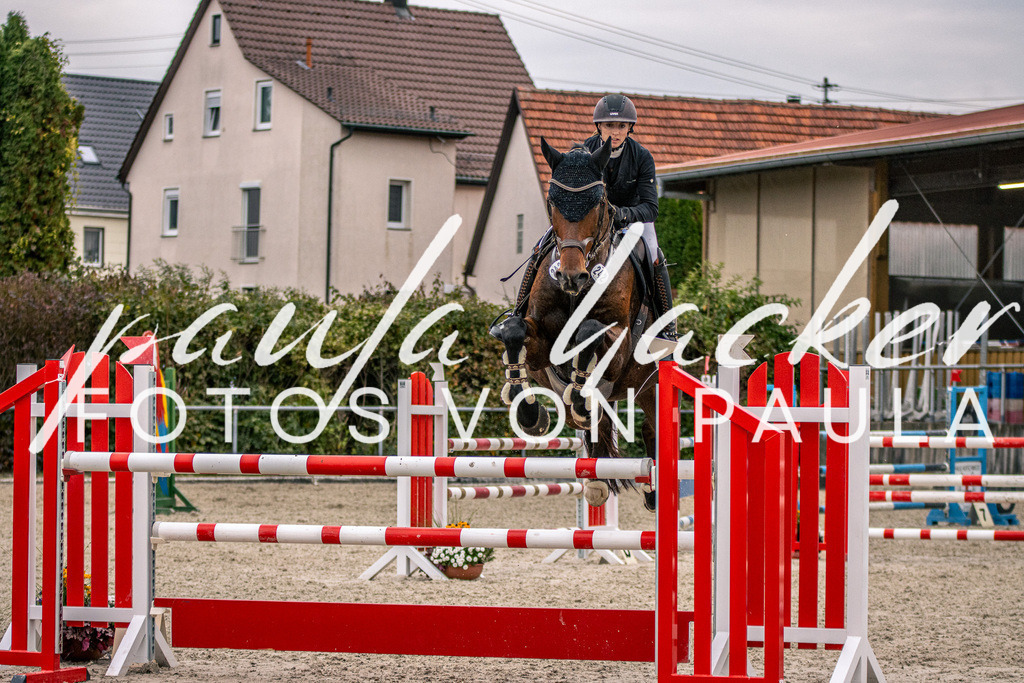 IMG_6193 | Erleben Sie dynamische Sport- und emotionale Tierfotografie in Süddeutschland mit Fotos von Paula. Spezialisiert auf Pferde- und Hundefotografie sowie Sportevents. Kontaktieren Sie mich für einzigartige und ausdrucksstarke Bilder Ihrer besonderen Momente. - Realisiert mit Pictrs.com