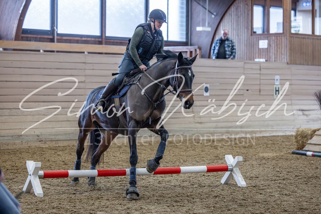 20260221-_3LI9945 | Tierfotografie Pferde, Hunde, Katzen, Haustiere.
Turnierfotografie Reitturniere, Reiten, Springreiten, Dressur in Hanau, dem Main-Kinzig-Kreis und dem Rhein-Main- Gebiet um Frankfurt
