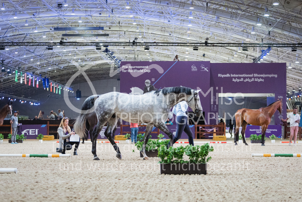 230215_Riyadh_Vet-Check-122 | Deine schönsten Turniermomente als professionelle Fotos! Entdecke hochwertige Pferdesport-Fotografie im Online-Shop. Jetzt Fotos finden & bestellen!