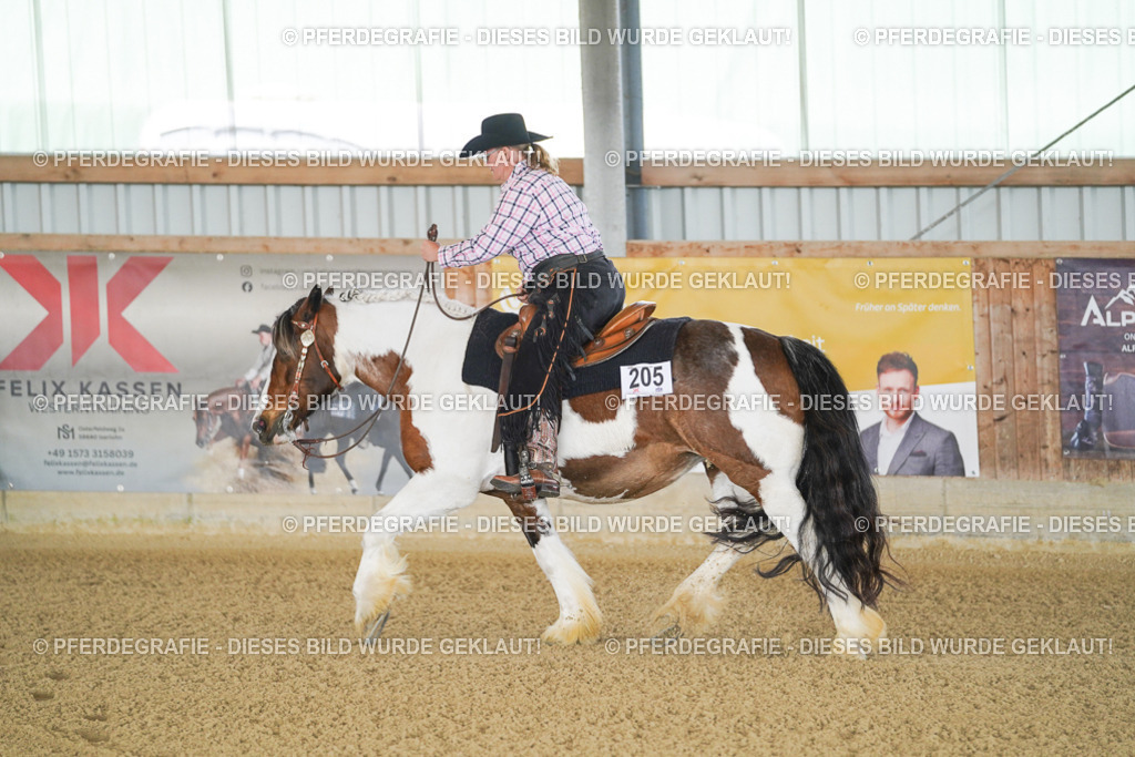 DSC02466 | Pferdegrafie