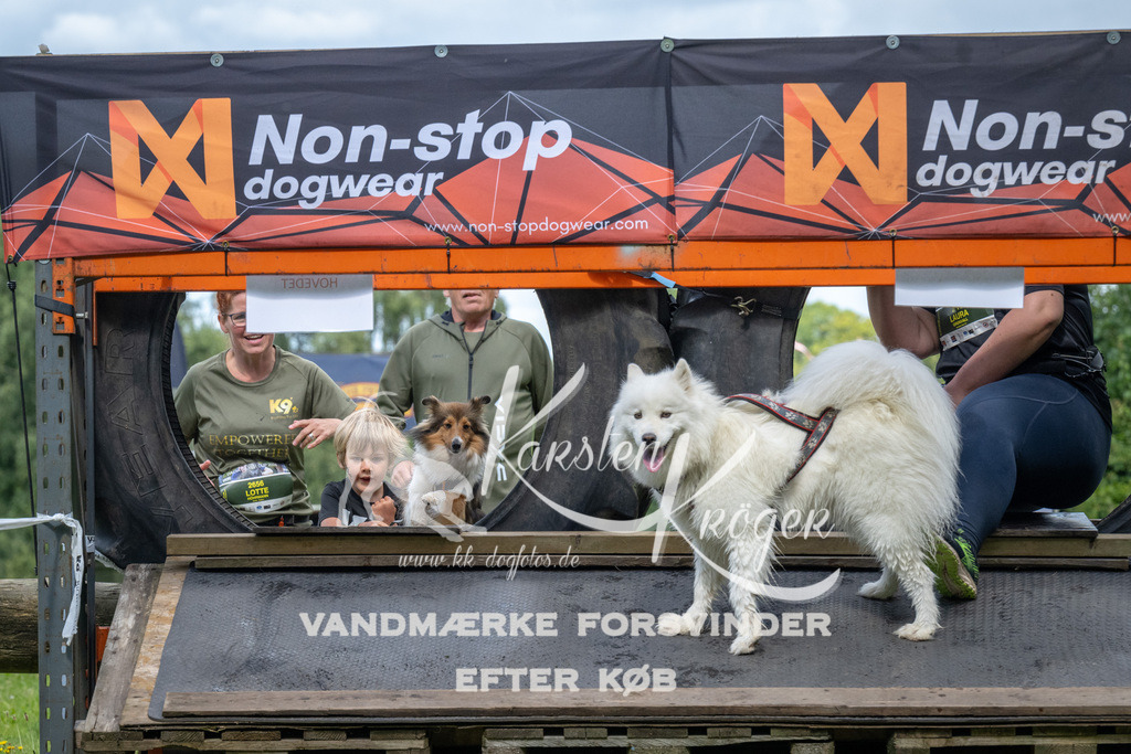 1330_ZZ90112 | kk-dogfotos