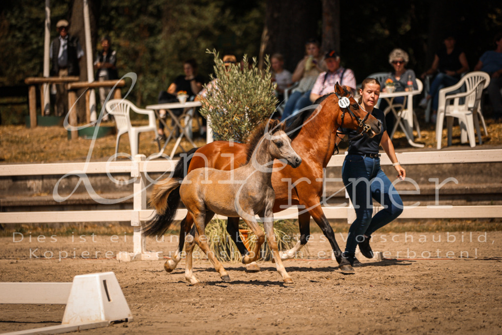 04.DoWP00025 | Leoni Ertmer Photography - Realisiert mit Pictrs.com