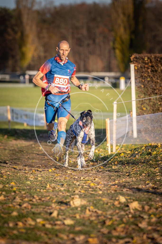 CaniXpix_DV3A4312 | Hundefotografie, Tierfotograf, Pfotenfotografie, Fotoshooting Hund, Hunde Portrait, Hundesport, Hundeportraits, Heideshooting, Hunde, Sportfotograf, Hundefotograf, Turnierhundsport, THS,  - Realisiert mit Pictrs.com
