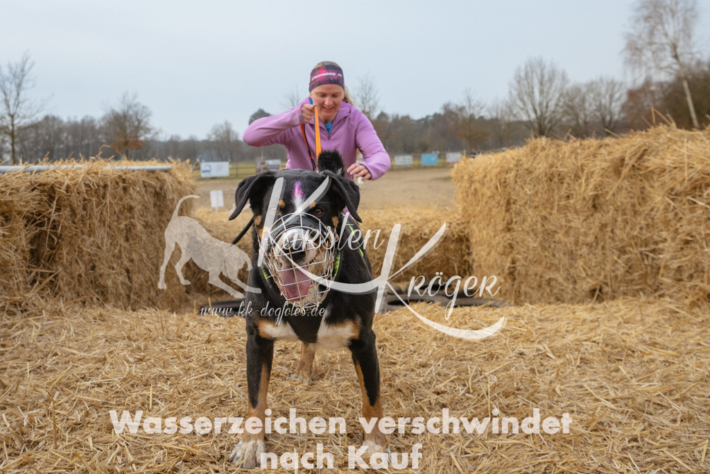 0911_ZZ97162 | kk-dogfotos