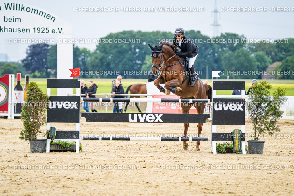 DSC06777 | Pferdegrafie