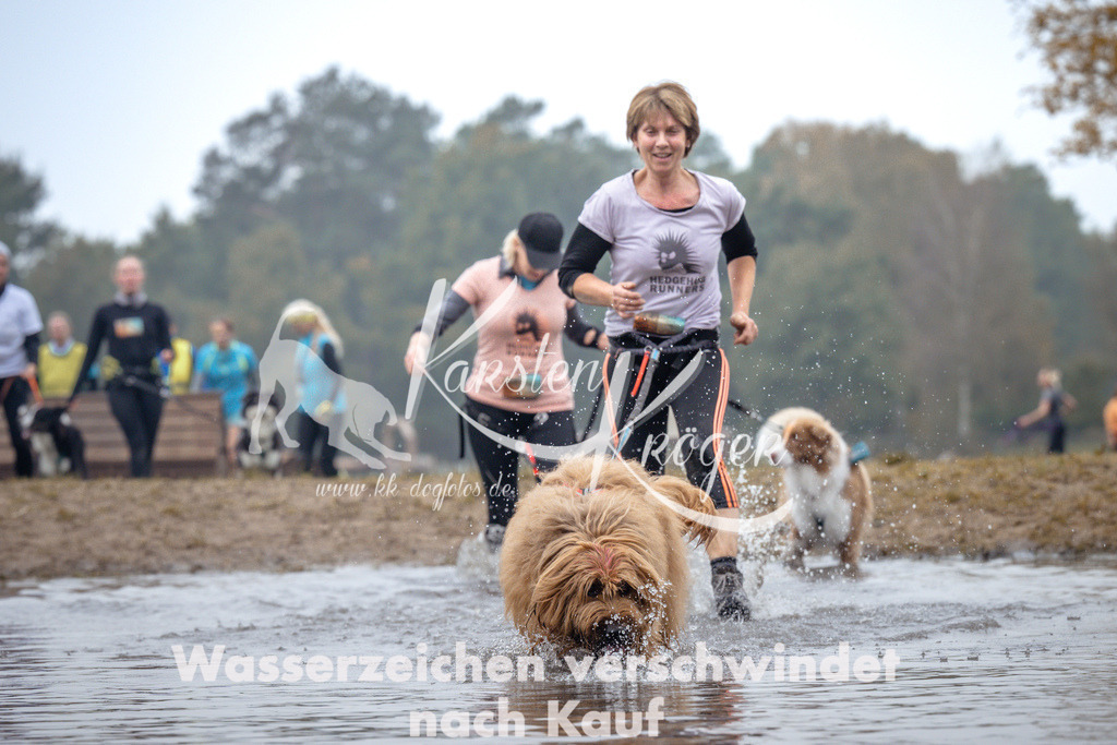 1003_ZZ97561 | kk-dogfotos