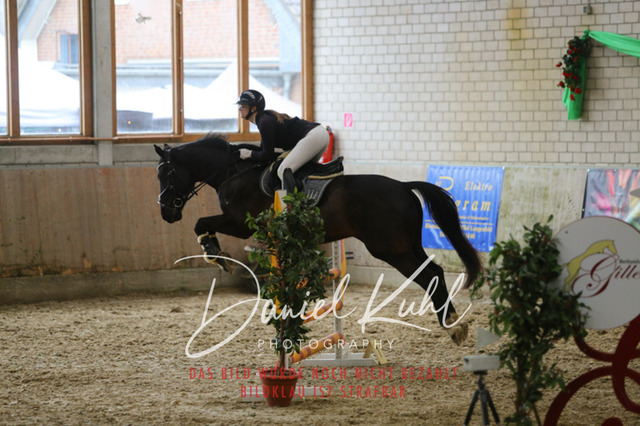 IMG_0743 | Turnierfotos kaufen im Webshop von Daniel Kuhl Photography – entdecke professionelle Reitsportfotos aus Turnieren & Events. Hochwertige Turnierbilder online bestellen & sichern. Jetzt Fotos von Reitsportturnieren kaufen!