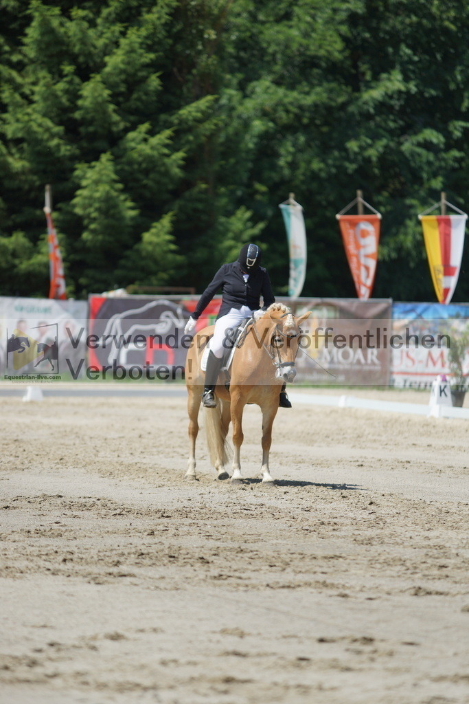 DSC03283 | equestrian-live-com