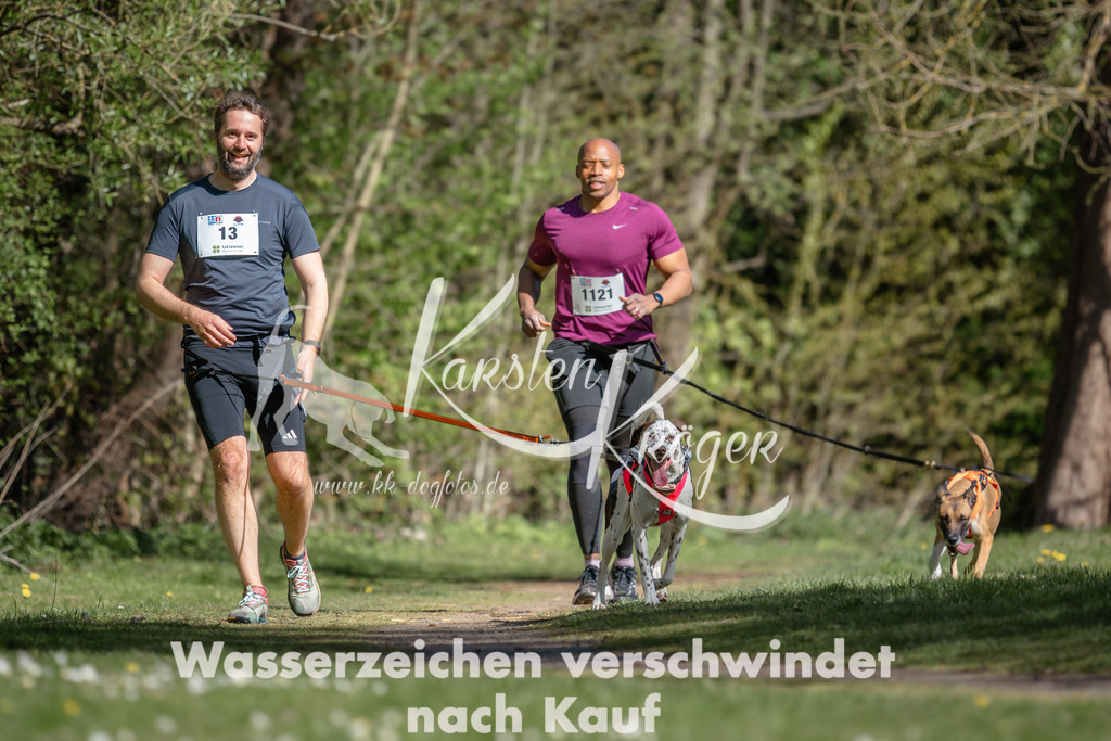 1030DZ6_3959 | kk-dogfotos