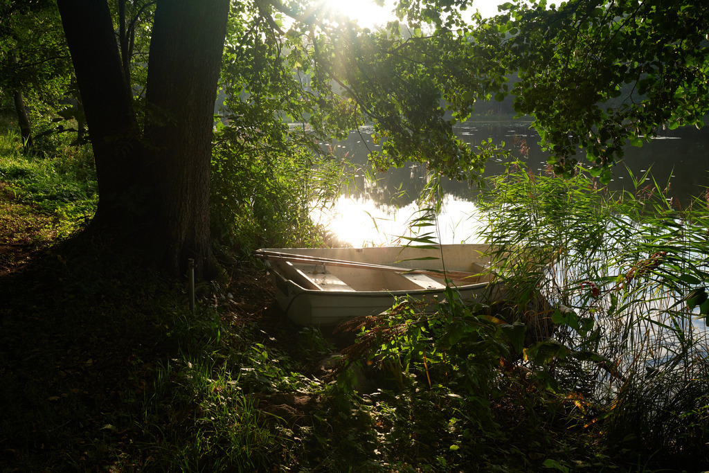 Impressionen am Puhajarve See | Otepää , Estland - August 23, 2022: Ruderboot im Schilf liegend. - Realisiert mit Pictrs.com