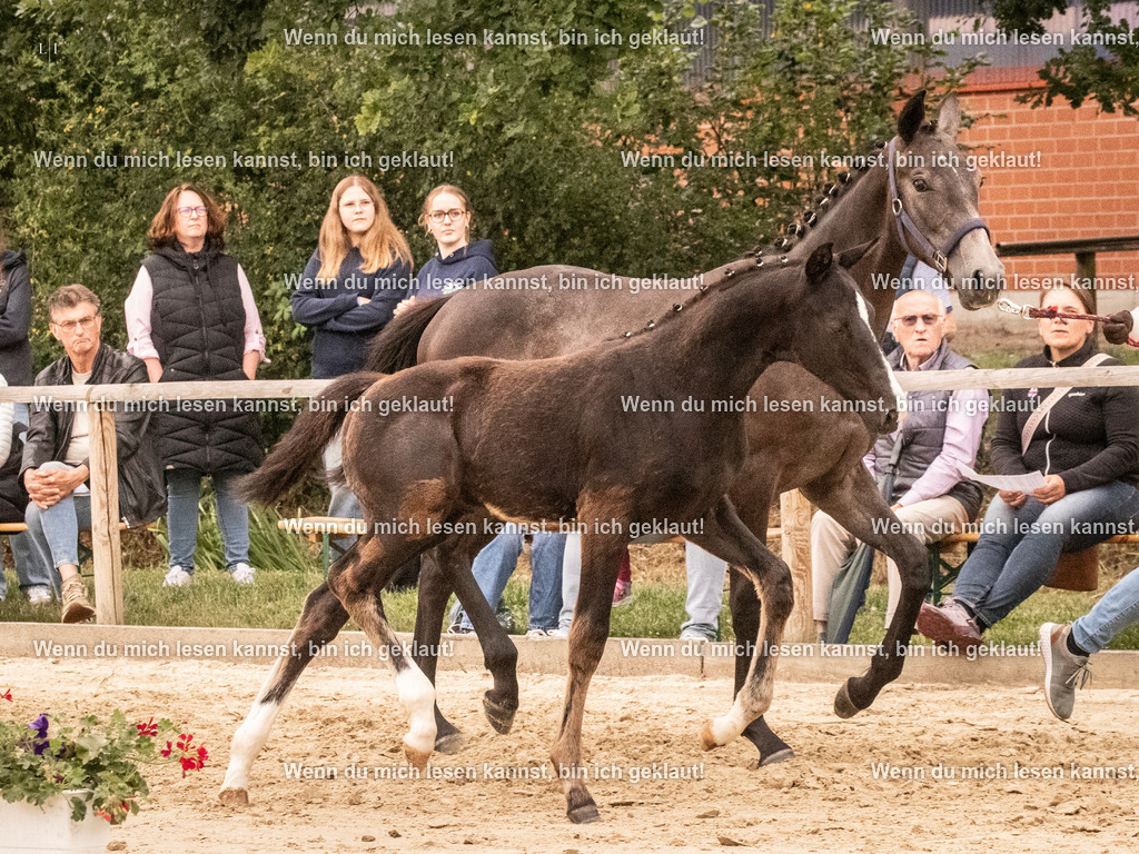 A10I1634 | photographylinaismer - Realisiert mit Pictrs.com