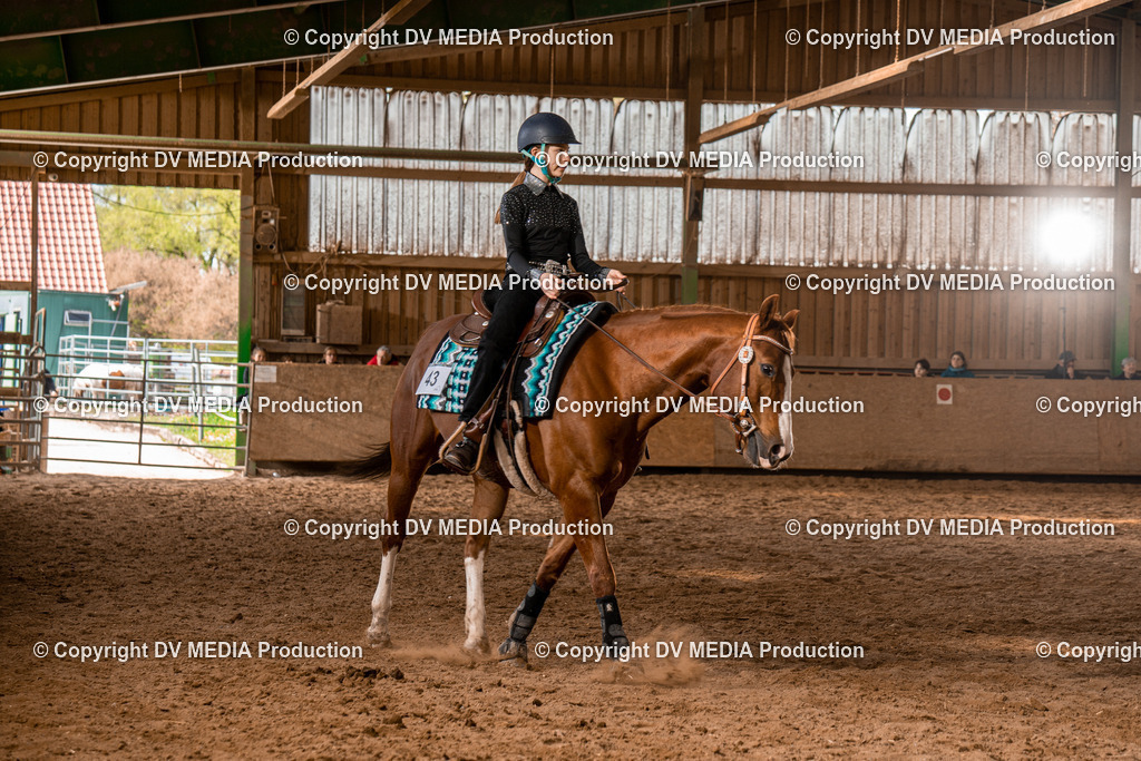 BAL02188 | dv-media-shop - Realisiert mit Pictrs.com