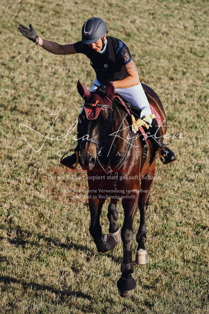 DSC_3301 | Pferde- und Turnierfotografie in Westsachsen. Pferdeportraits, Auftragszeichnungen und intuitive Kunst.