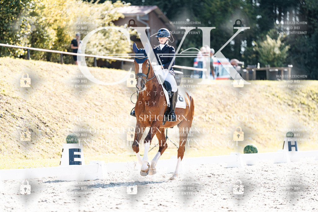 CK905523 | Turnierfotografie Pferdefotografie Trier Rheinland-Pfalz Pferdesport Reitsport Tierfotografie Sportfotografie Pferdevideo Pferdevideografie Equestrianvideography equestrianphotography  - Realisiert mit Pictrs.com