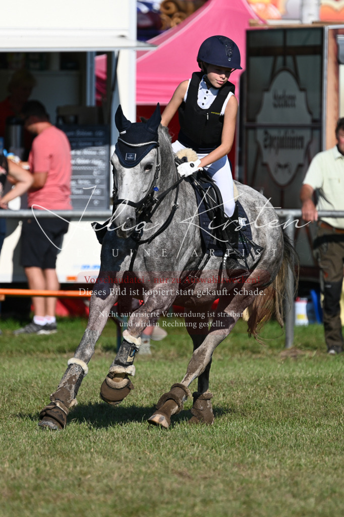 DSC_5066 | Pferde- und Turnierfotografie in Westsachsen. Pferdeportraits, Auftragszeichnungen und intuitive Kunst.