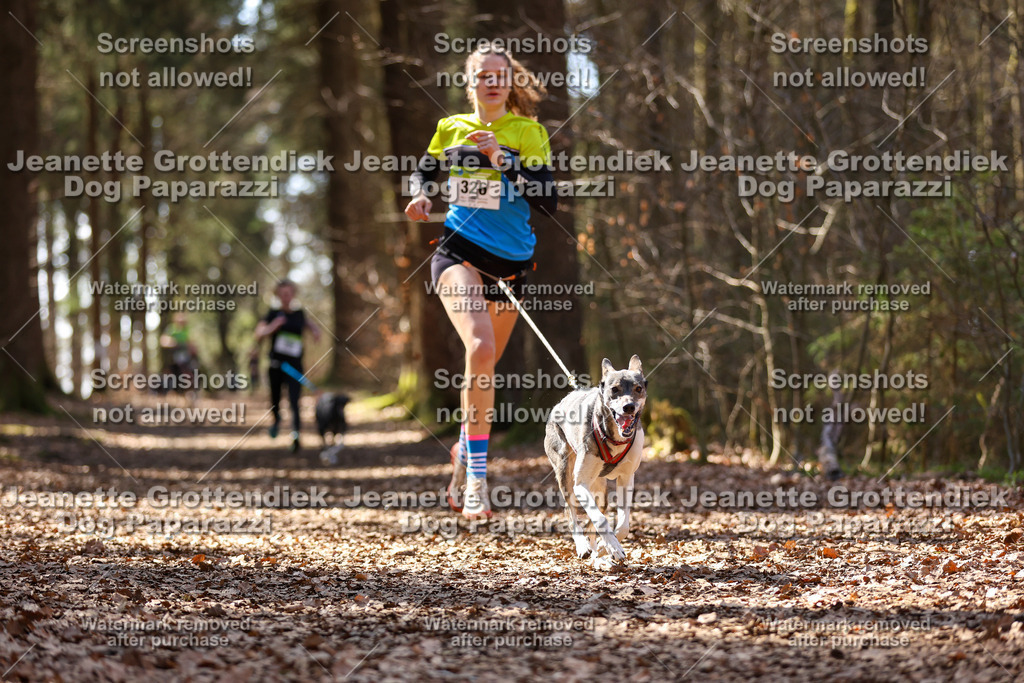 Dog Paparazzi - VCC26-1292 | Dog Paparazzi Jeanette Grottendiek Fotografie & Videografie - Realisiert mit Pictrs.com