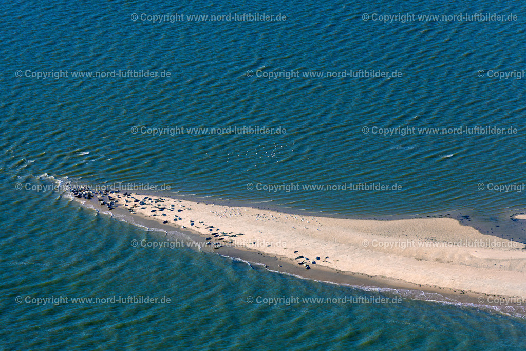 Norderney_Seehundbänke_ELS_5410091022 | NORDERNEY 09.10.2022 Küsten- Landschaft und Sandbank - Strukturen " Seehundbank " in Norderney im Bundesland Niedersachsen, Deutschland. // Coastal landscape and sandbar - structures " Seehundbank " in Norderney in the state Lower Saxony, Germany. Foto: Martin Elsen
